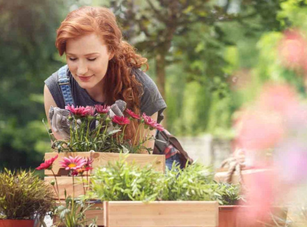 Pensez au « Garden Staging » pour mieux vendre votre bien !